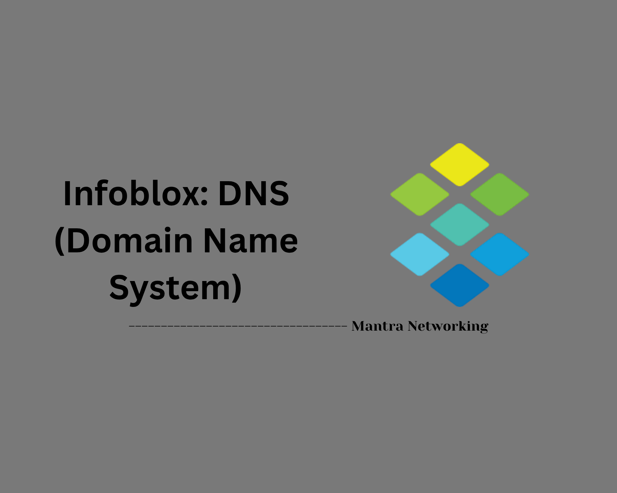 Infoblox: DNS (Domain Name System)