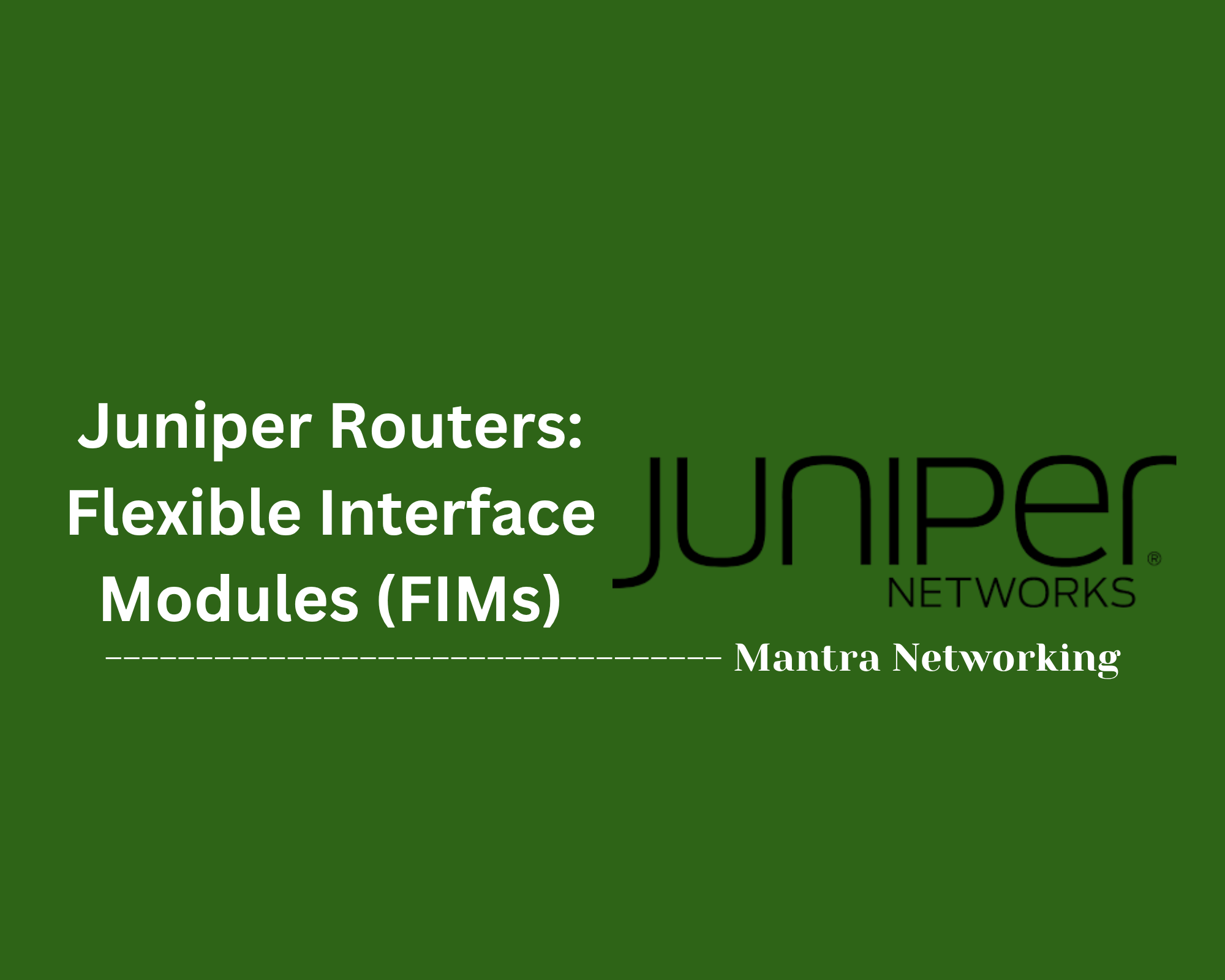 Juniper Routers: Flexible Interface Modules (FIMs)