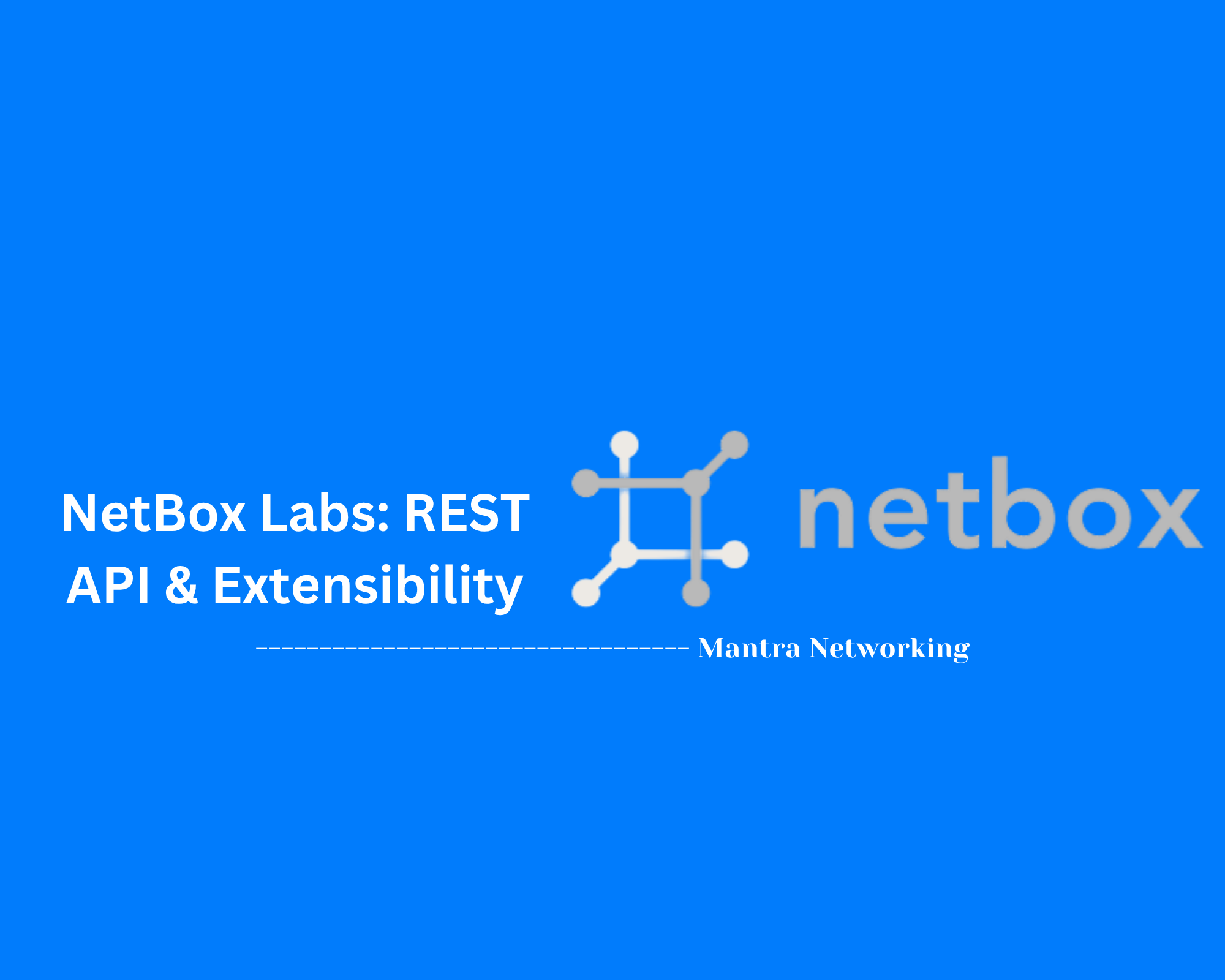 NetBox Labs: REST API & Extensibility