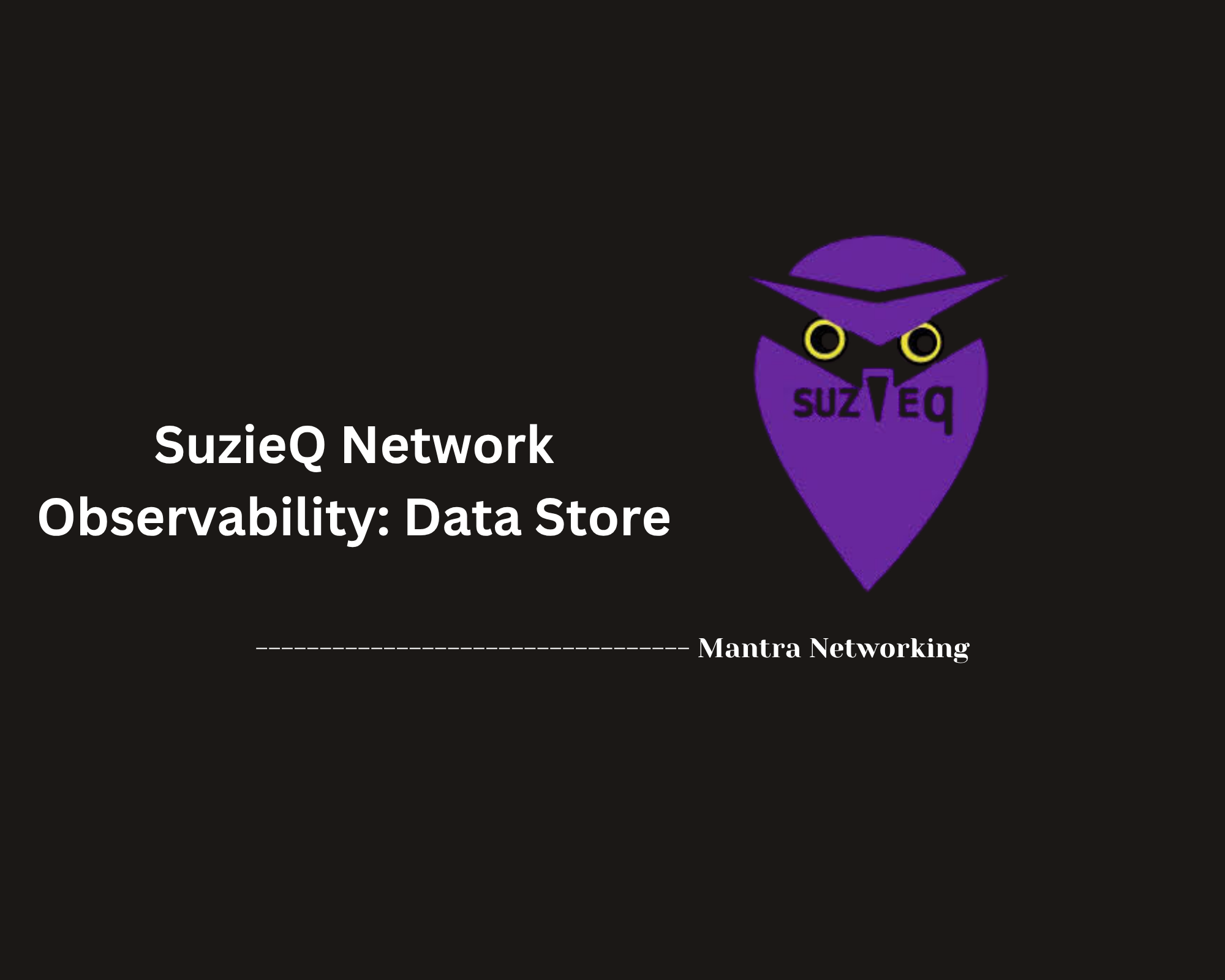 SuzieQ Network Observability: Data Store