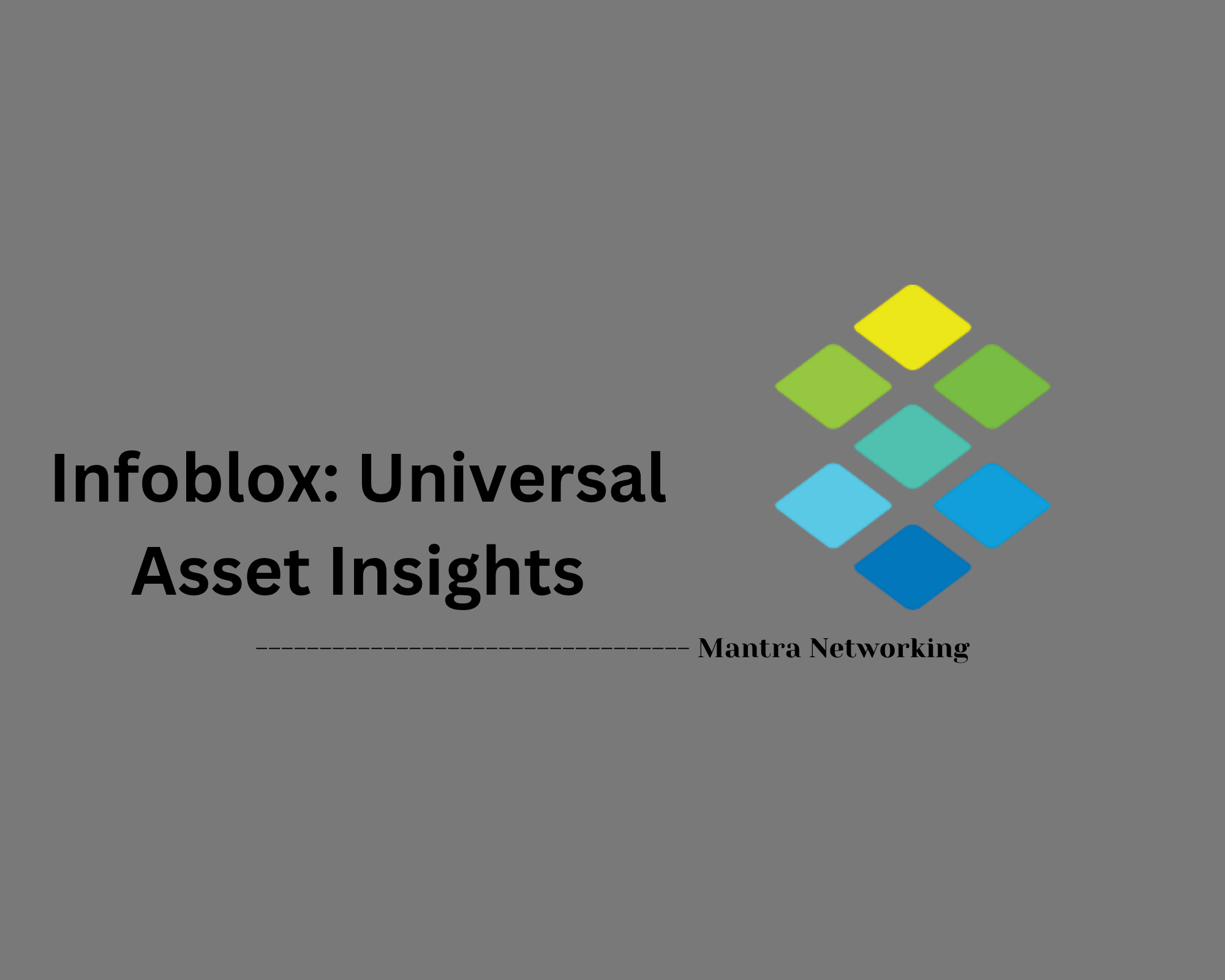 Infoblox: Universal Asset Insights