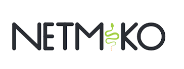 Netmiko Tag Logo