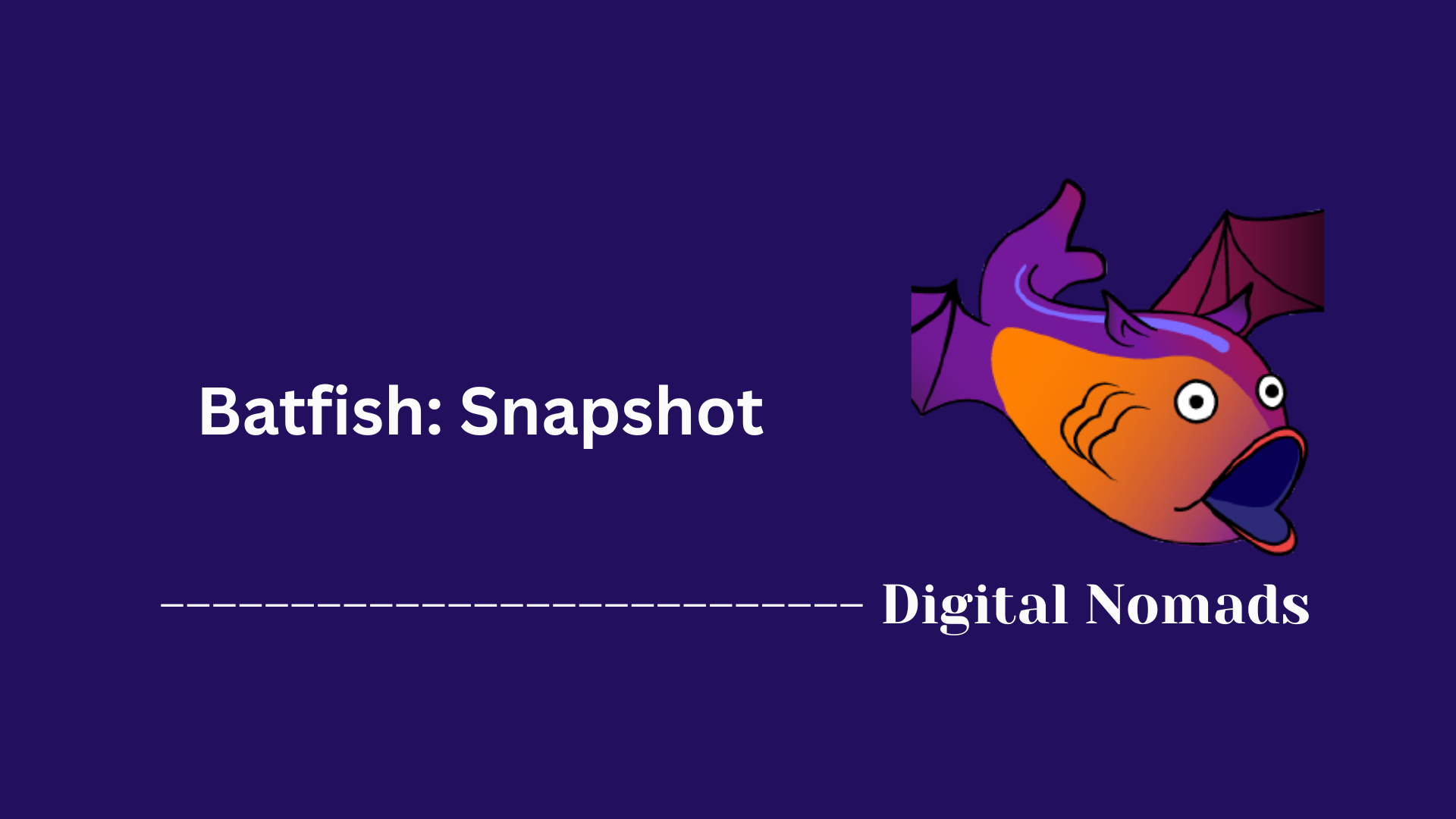 Batfish: Snapshot